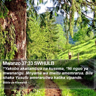 Mwanzo 37:33 SWHULB Bible Verse Image