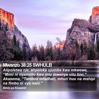 Mwanzo 38:25 SWHULB Bible Verse Image