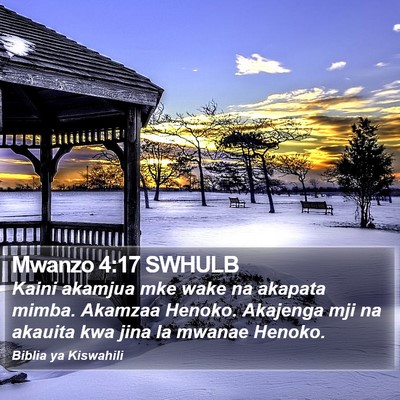 Mwanzo 4:17 SWHULB Bible Verse Image