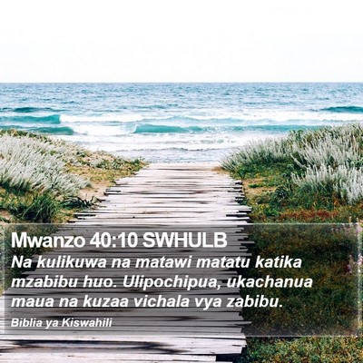 Mwanzo 40:10 SWHULB Bible Verse Image