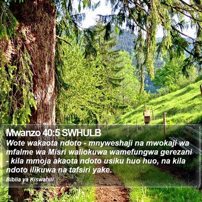 Mwanzo 40:5 SWHULB Bible Verse Image