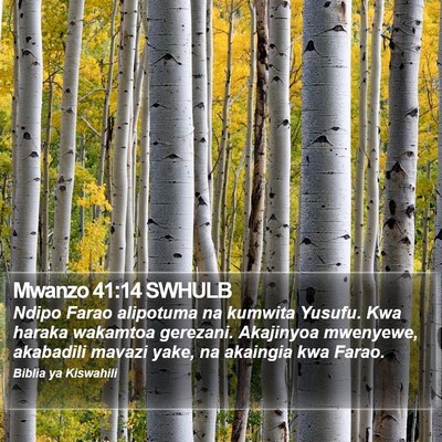 Mwanzo 41:14 SWHULB Bible Verse Image