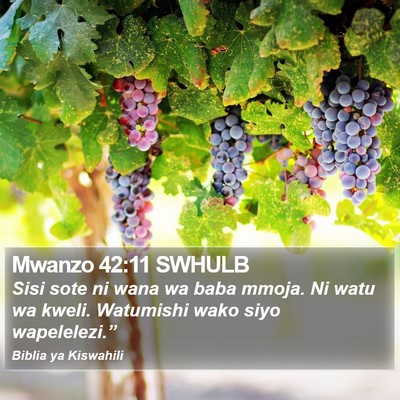 Mwanzo 42:11 SWHULB Bible Verse Image