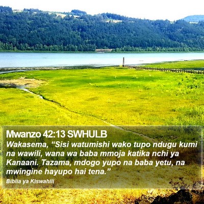Mwanzo 42:13 SWHULB Bible Verse Image