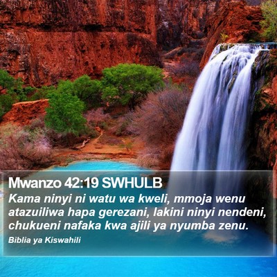 Mwanzo 42:19 SWHULB Bible Verse Image