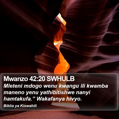 Mwanzo 42:20 SWHULB Bible Verse Image