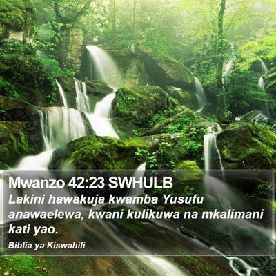 Mwanzo 42:23 SWHULB Bible Verse Image