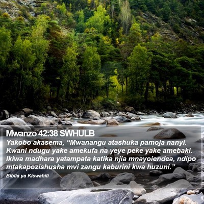 Mwanzo 42:38 SWHULB Bible Verse Image