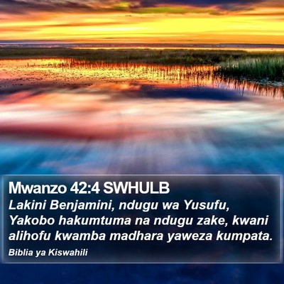 Mwanzo 42:4 SWHULB Bible Verse Image