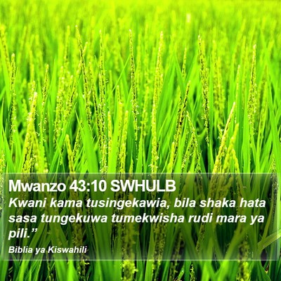 Mwanzo 43:10 SWHULB Bible Verse Image
