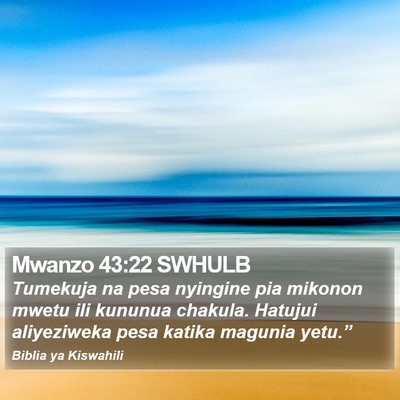 Mwanzo 43:22 SWHULB Bible Verse Image