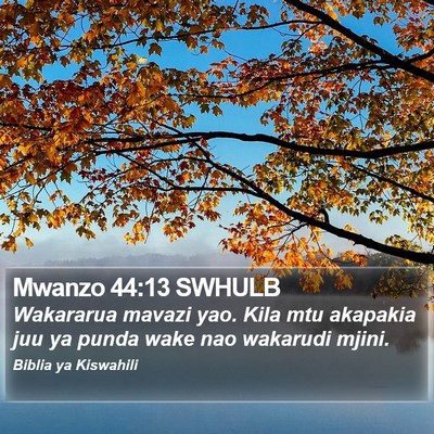 Mwanzo 44:13 SWHULB Bible Verse Image