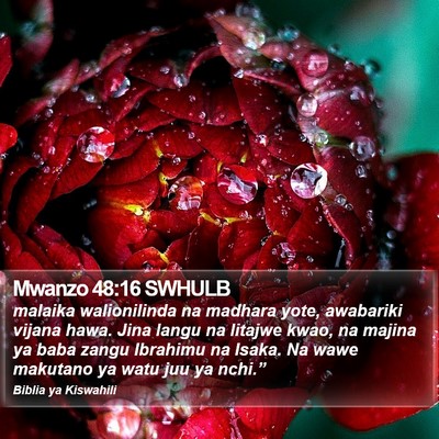 Mwanzo 48:16 SWHULB Bible Verse Image
