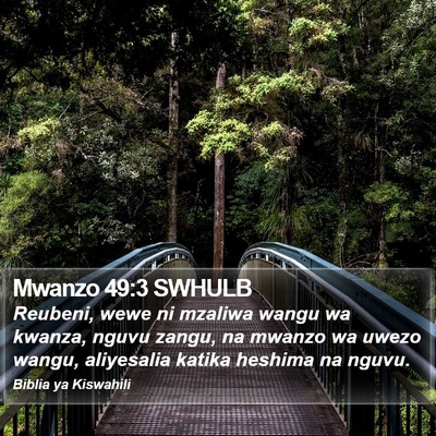Mwanzo 49:3 SWHULB Bible Verse Image