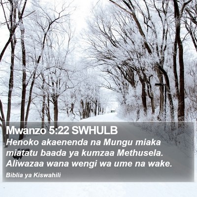 Mwanzo 5:22 SWHULB Bible Verse Image