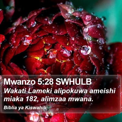 Mwanzo 5:28 SWHULB Bible Verse Image
