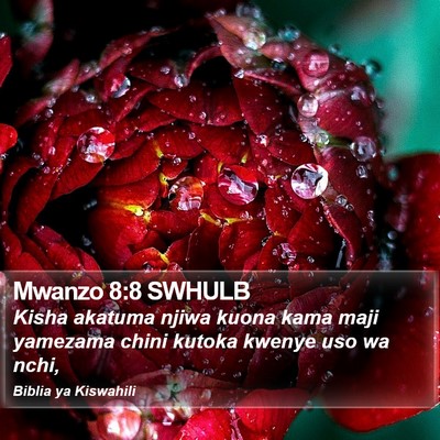 Mwanzo 8:8 SWHULB Bible Verse Image