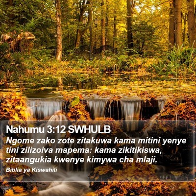Nahumu 3:12 SWHULB Bible Verse Image