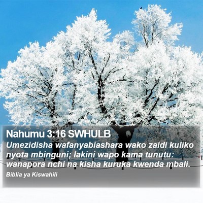 Nahumu 3:16 SWHULB Bible Verse Image