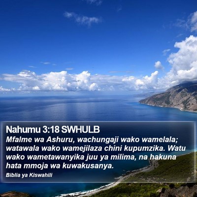 Nahumu 3:18 SWHULB Bible Verse Image