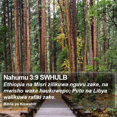 Nahumu 3:9 SWHULB Bible Verse Image
