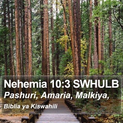 Nehemia 10:3 SWHULB Bible Verse Image