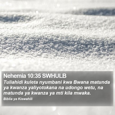 Nehemia 10:35 SWHULB Bible Verse Image