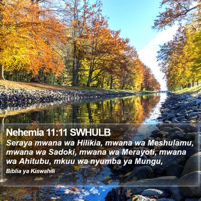 Nehemia 11:11 SWHULB Bible Verse Image