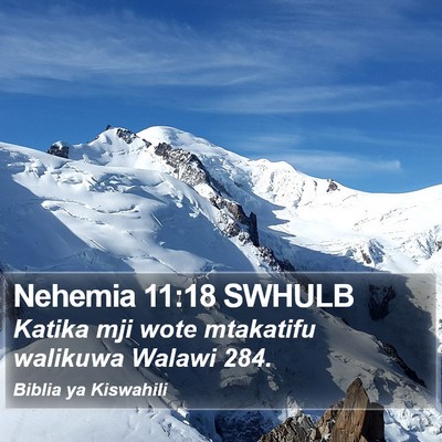 Nehemia 11:18 SWHULB Bible Verse Image