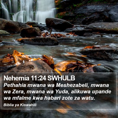 Nehemia 11:24 SWHULB Bible Verse Image