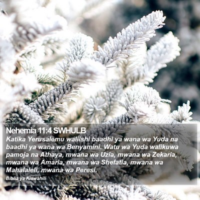 Nehemia 11:4 SWHULB Bible Verse Image
