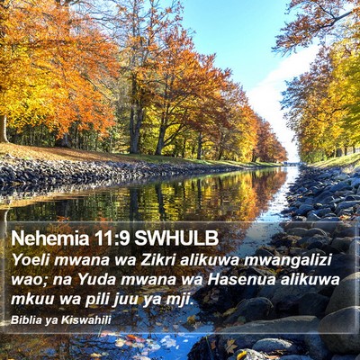 Nehemia 11:9 SWHULB Bible Verse Image