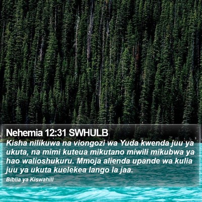 Nehemia 12:31 SWHULB Bible Verse Image