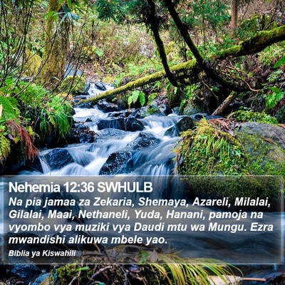 Nehemia 12:36 SWHULB Bible Verse Image