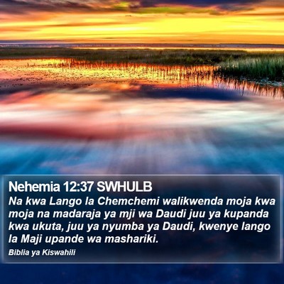 Nehemia 12:37 SWHULB Bible Verse Image