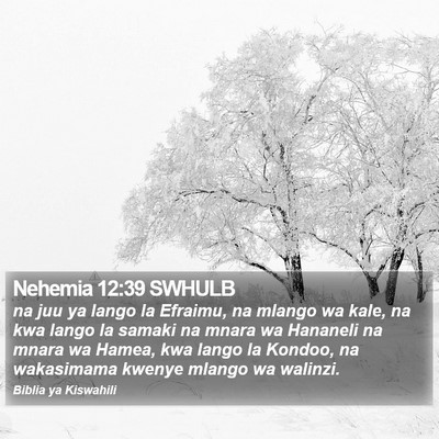 Nehemia 12:39 SWHULB Bible Verse Image