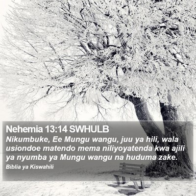 Nehemia 13:14 SWHULB Bible Verse Image