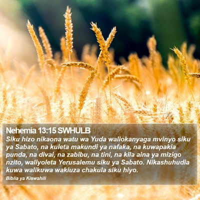 Nehemia 13:15 SWHULB Bible Verse Image