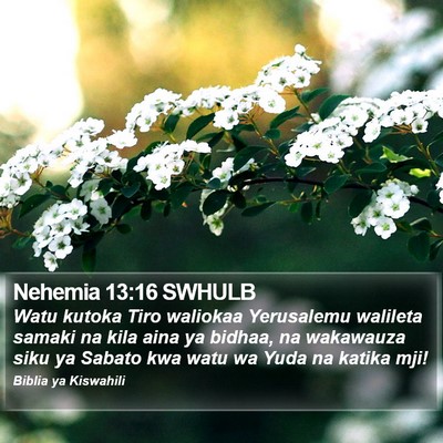 Nehemia 13:16 SWHULB Bible Verse Image
