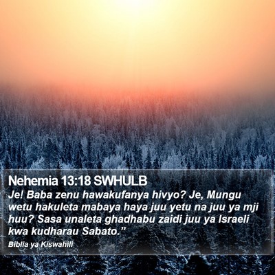 Nehemia 13:18 SWHULB Bible Verse Image