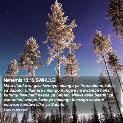 Nehemia 13:19 SWHULB Bible Verse Image