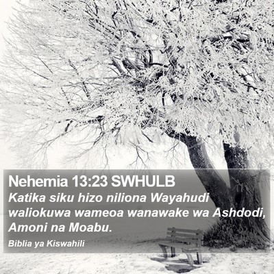 Nehemia 13:23 SWHULB Bible Verse Image