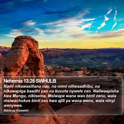Nehemia 13:25 SWHULB Bible Verse Image