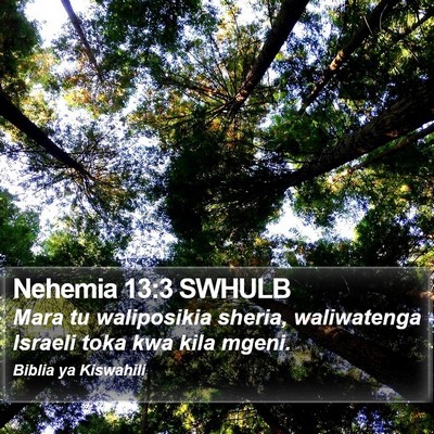 Nehemia 13:3 SWHULB Bible Verse Image