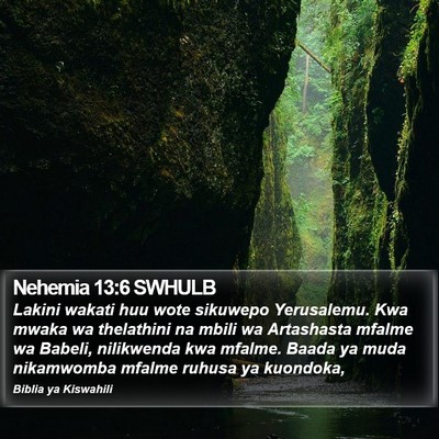 Nehemia 13:6 SWHULB Bible Verse Image