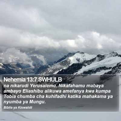 Nehemia 13:7 SWHULB Bible Verse Image