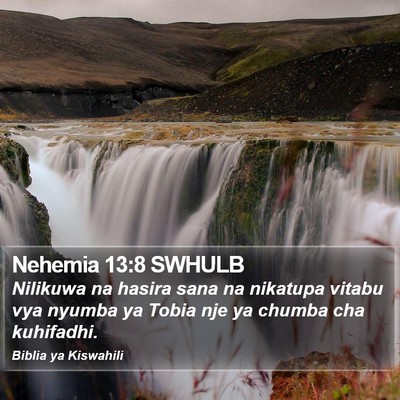 Nehemia 13:8 SWHULB Bible Verse Image