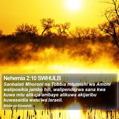 Nehemia 2:10 SWHULB Bible Verse Image