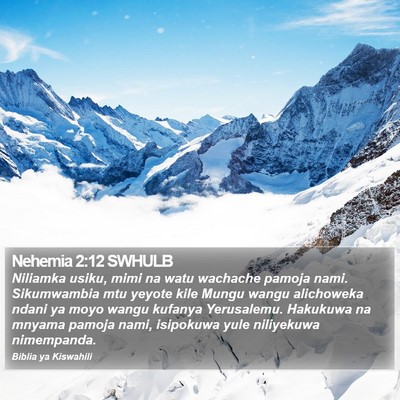 Nehemia 2:12 SWHULB Bible Verse Image