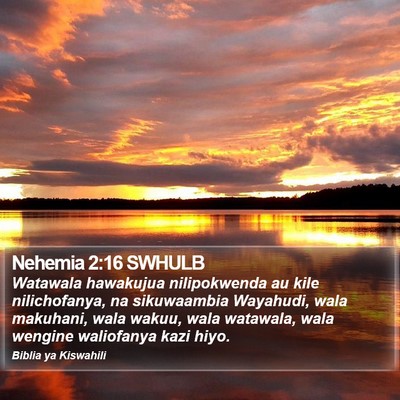 Nehemia 2:16 SWHULB Bible Verse Image
